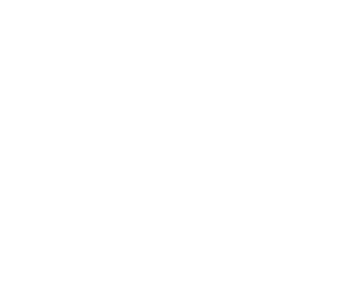 Devin